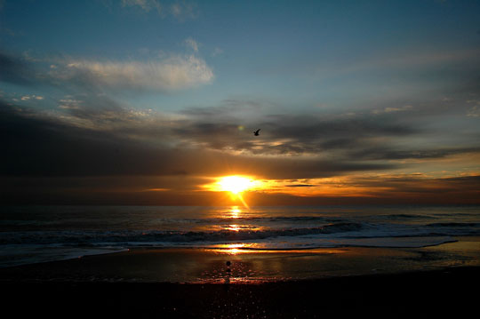 You are currently viewing Photo of the Week Sept. 6