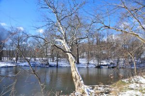 Read more about the article Photo of the Week: A Winter’s Scene