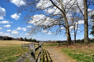 Read more about the article Photo of the Week: A Place for a Stroll