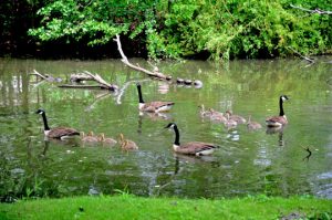 Read more about the article Photo of the Week: Family Day