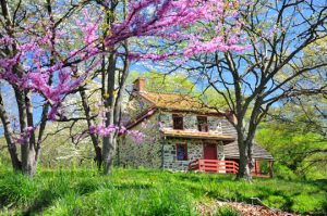 Read more about the article Photo of the Week: Gilpin in Spring