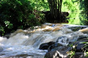 Read more about the article Photo of the Week: Whoosh