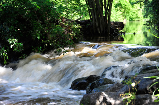 You are currently viewing Photo of the Week: Whoosh