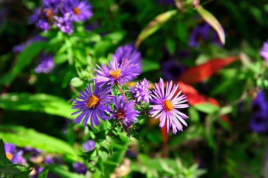 You are currently viewing Photo of the Week: Counting Colors