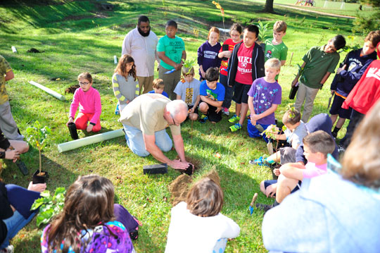 You are currently viewing Education and community merge at Hillendale tree planting