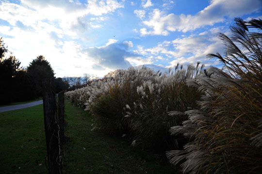 You are currently viewing Photo of the Week: Late Afternoon