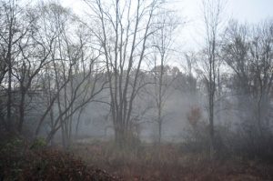 Read more about the article Photo of the Week: Fog House