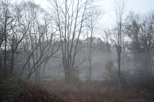 You are currently viewing Photo of the Week: Fog House