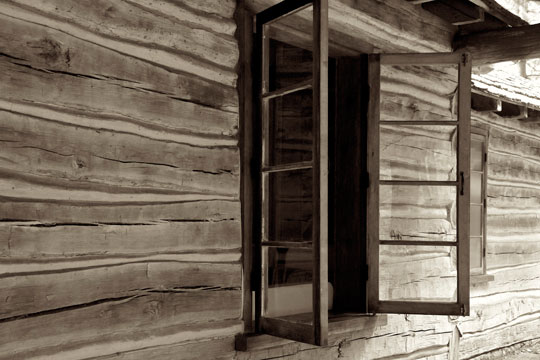 You are currently viewing Photo of true Week: Peeking