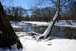 Read more about the article Photo of the Week: Pretty Cold