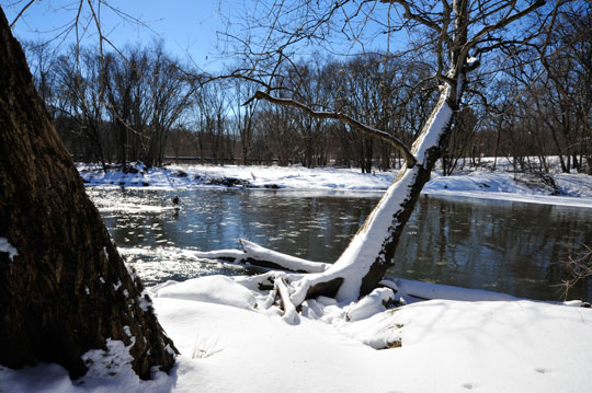 You are currently viewing Photo of the Week: Pretty Cold