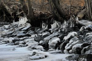 Read more about the article Photo of the Week: Trickling Through Rocks
