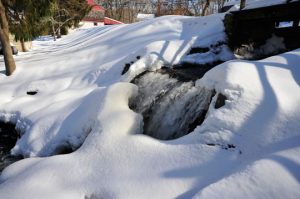 Read more about the article Photo of the Week: Bridge over Falls