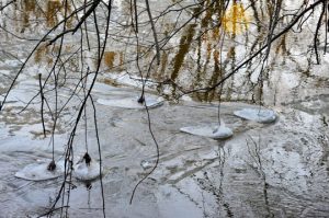 Read more about the article Photo of the Week: No More Ice