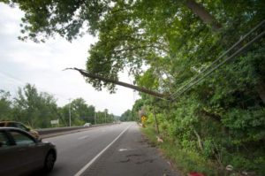 This limb was removed from the lines on Tuesday, July 8.