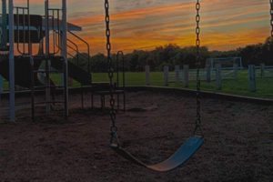 Read more about the article Photo of the Week: Swing Time