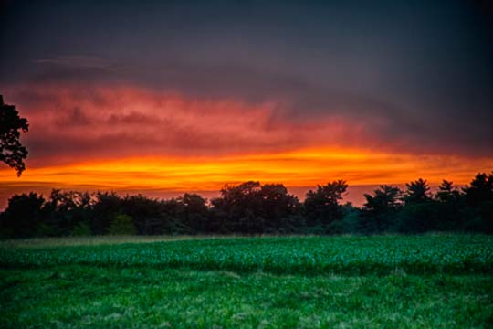 You are currently viewing Photo of the Week: Eerie Evening