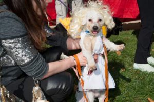 Read more about the article No howling at ‘Howl-o-Ween’ party