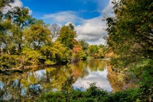 Read more about the article Photo of the Week: Early Brandywine Autumn