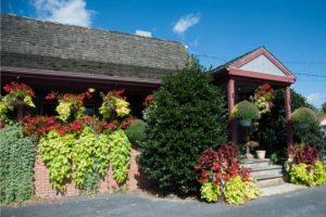 Read more about the article Photo of the Week: The Hanging Garden at Hank’s Place