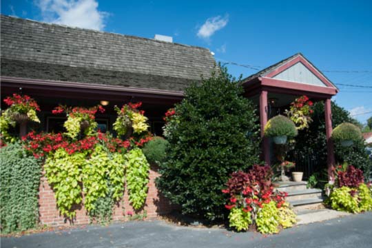 You are currently viewing Photo of the Week: The Hanging Garden at Hank’s Place