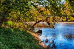 Read more about the article Photo of the Week: Sunday Calm