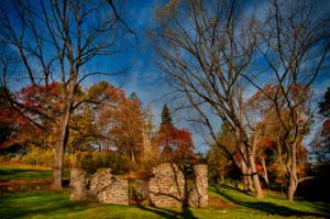 Read more about the article Photo of the Week: Mother Archie’s