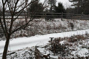 Although roads remain clear, snow begins to accumulate on sidewalks and driveways in the area.