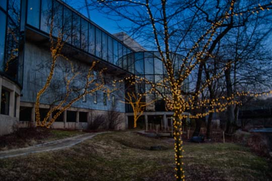 You are currently viewing Photo of the Week: Creekside