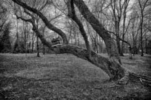 Read more about the article Photo of the Week: Nobody Home