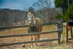 Read more about the article Photo of the Week: In Kilter