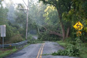 Read more about the article Power back up for many; others hopeful