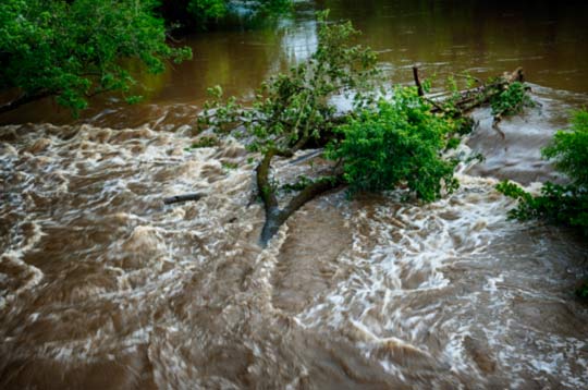 You are currently viewing Photo of the Week: Rush Around the Brush