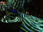 Nightscaqpe at Longwood Gardens