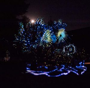 At the Rose Arbor, a floral array undergoes a fluid transition that reveals uncharacteristic hues during 'Nightscape.'