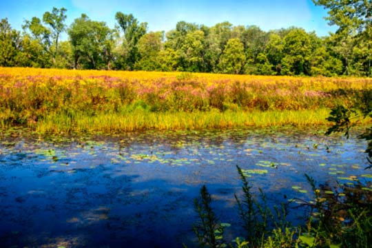 You are currently viewing Photo of the Week: August Morning