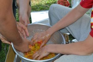 Read more about the article At brewery, crops – and youth – taking root