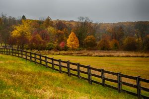 Read more about the article Photo of the Week: Between the Rains