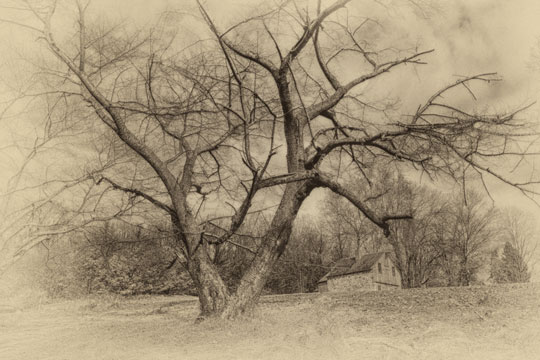 You are currently viewing Photo of the Week: Novembers Past