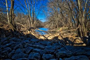 Read more about the article Photo of the Week: Chilly Blue