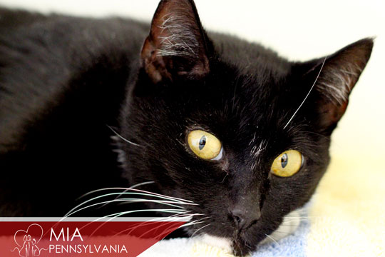 You are currently viewing Adopt-a-Pet Jan. 7