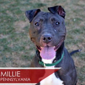 Millie