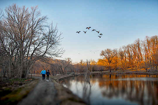 You are currently viewing Photo of the Week: Crossing Paths