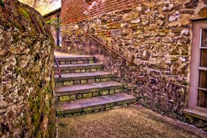 Read more about the article Photo of the Week: Coming or going?