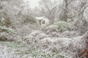 Read more about the article Photo of the Week: April Showers