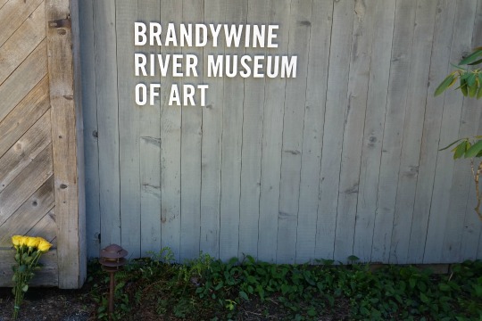 You are currently viewing Conservationist, artist ‘Frolic’ Weymouth dies