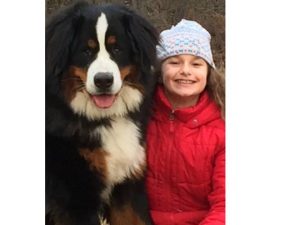 Read more about the article Doggone cute pooch portrait winner is…