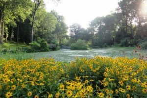 Read more about the article Garden tour: Man cave to magazine showplace
