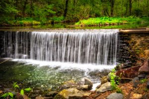 Read more about the article Photo of the Week: Contrasts