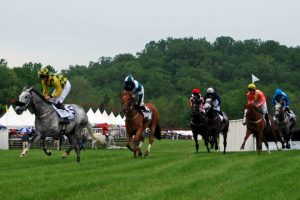 Read more about the article Race for open spaces finishes strong